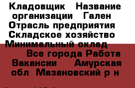 Кладовщик › Название организации ­ Гален › Отрасль предприятия ­ Складское хозяйство › Минимальный оклад ­ 20 000 - Все города Работа » Вакансии   . Амурская обл.,Мазановский р-н